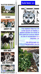 Mobile Screenshot of minihusky.com
